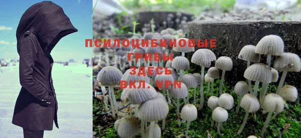 PSILOCYBIN Алексеевка