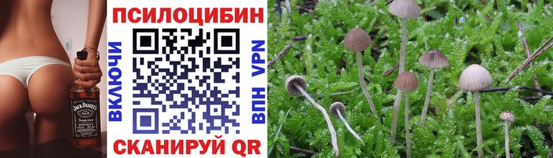 Псилоцибиновые грибы Psilocybine cubensis  что такое   Ардон 